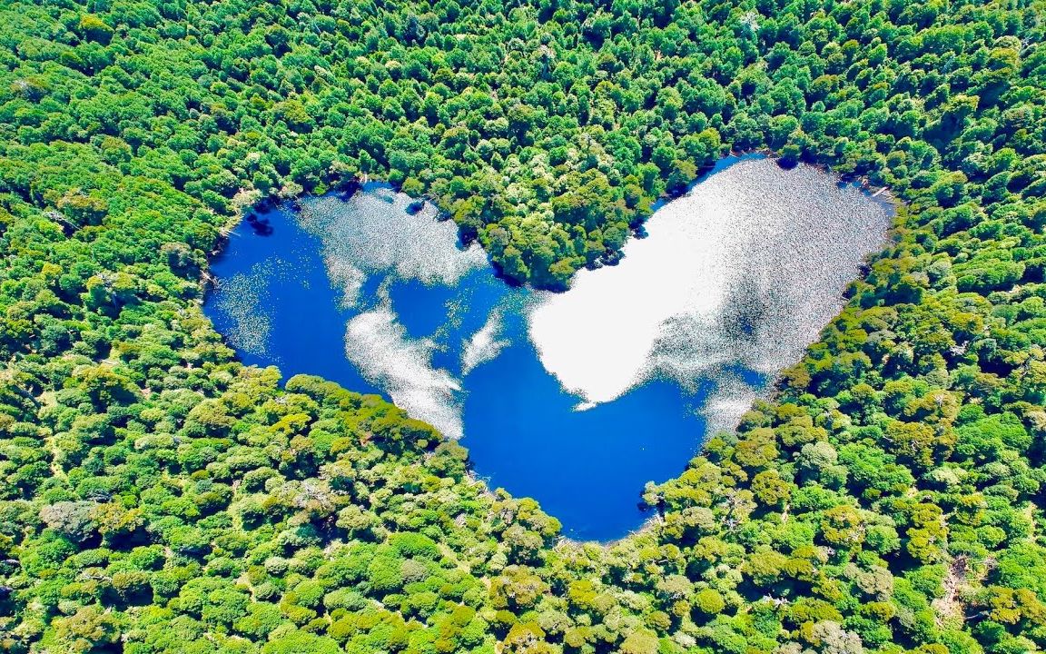 智利 心形湖laguna corazón湖的倒影