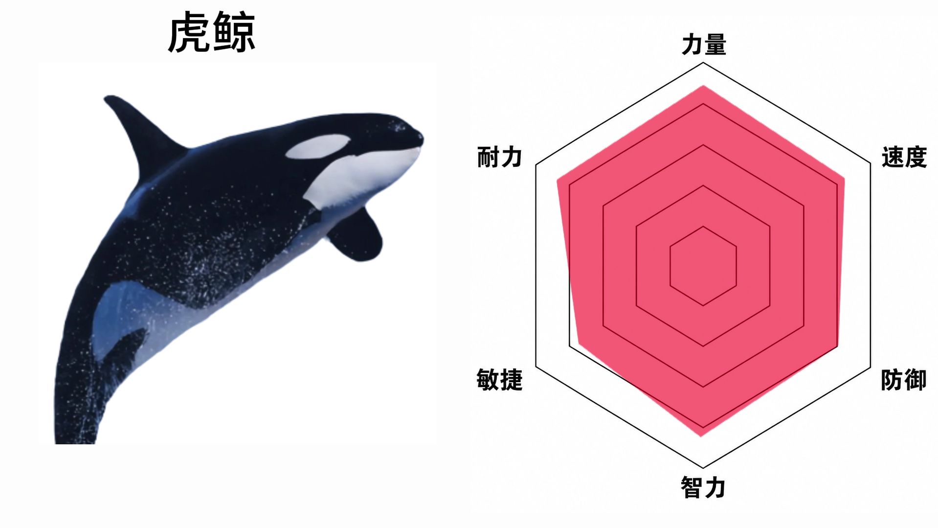 现代海洋动物战力面板（纯主观）