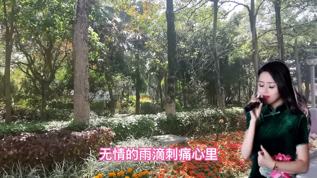 中山公园风景哔哩哔哩bilibili