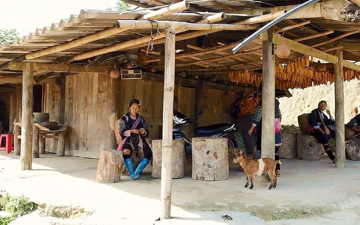 越南山区人民的生活图片