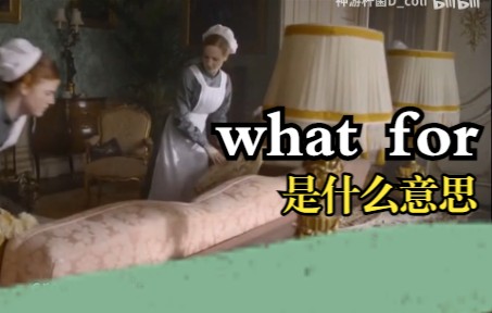 [图]常用口语“what for”是什么意思？