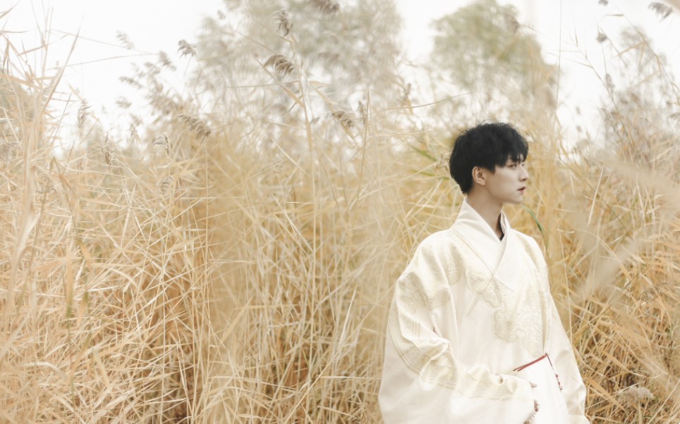 【妖扬@王敬轩】九万字