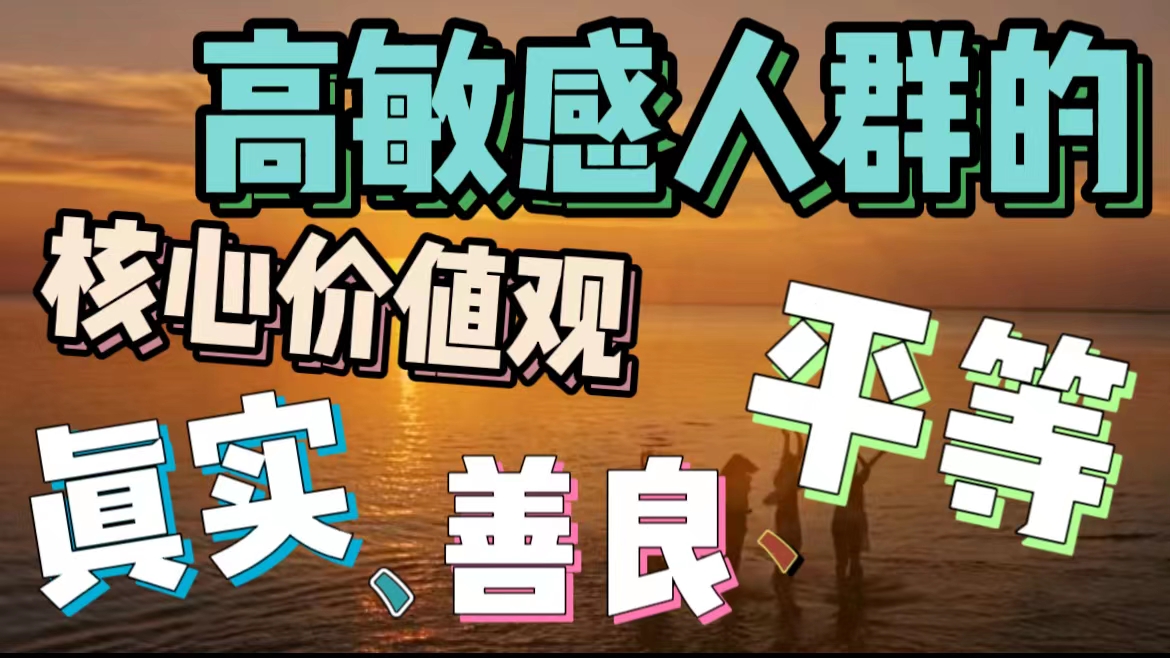 高敏感人群的核心价值观:真实、善良、平等哔哩哔哩bilibili