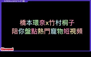 桥本环奈带你看最近都有哪些热门宠物短视频-大家的动物园