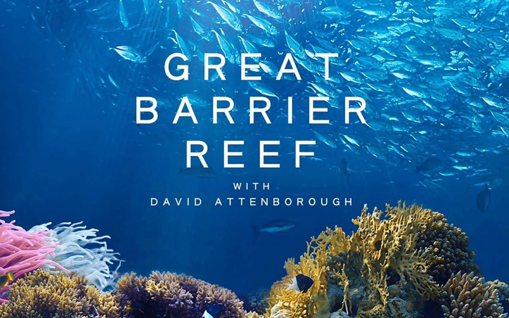 大卫爱登堡的大堡礁之旅:第3集_纪录片_bilibili_哔哩哔哩