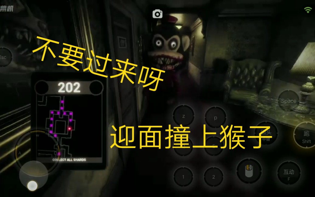 恐怖吃豆人重置版猴子,这些猴子好太可怕了