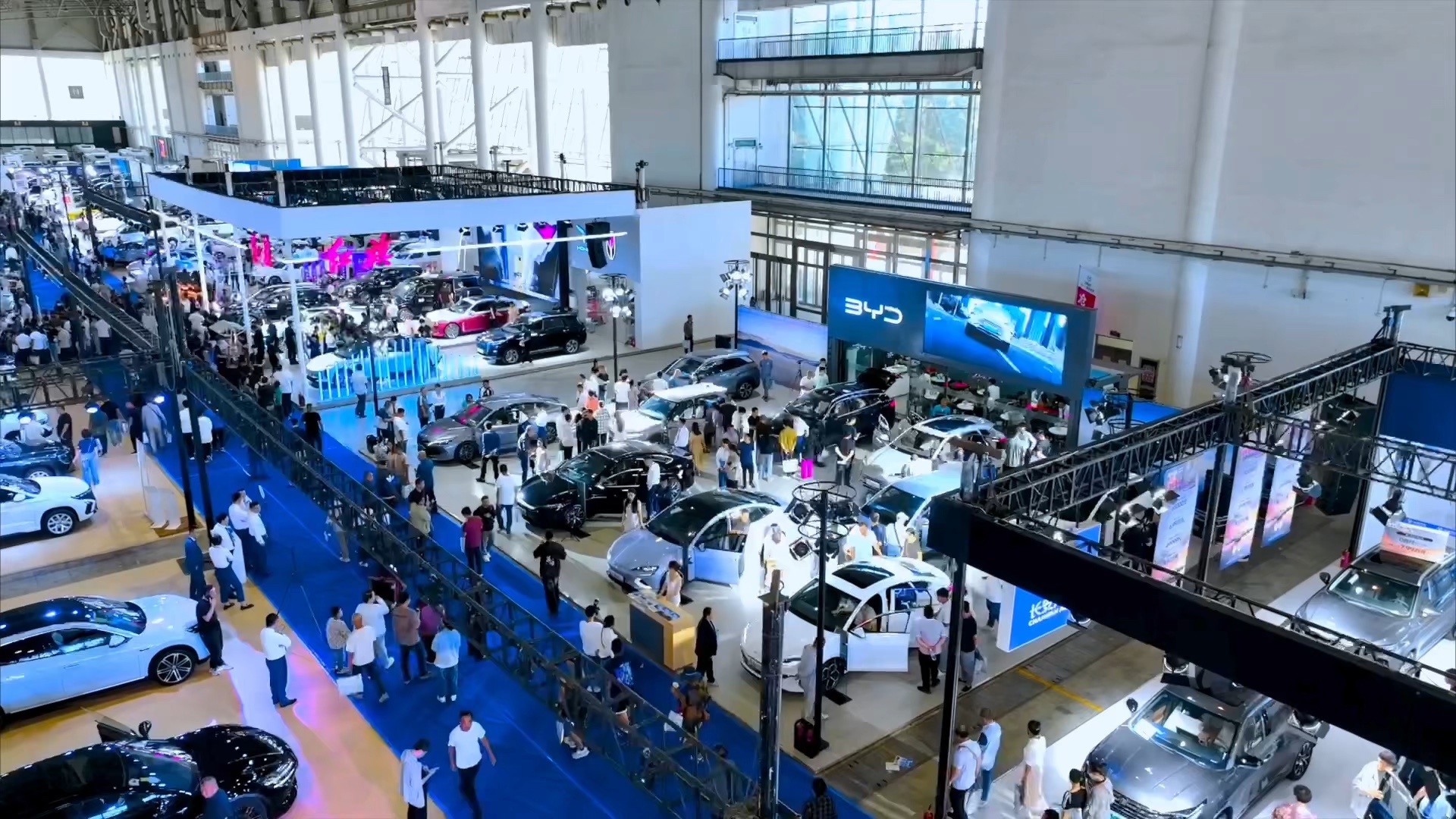 2024比亚迪沧州车展圆满完成王朝擎动02释放渴望