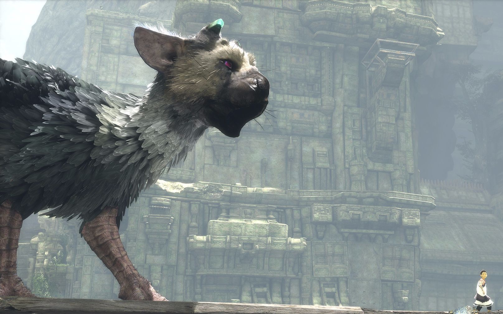 楚河《最后的守护者》最后30分钟选段:感受少年与大鹫的羁绊 [1230]