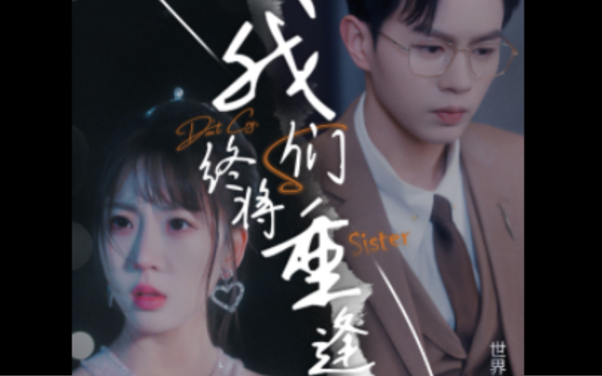 我们终将重逢 全集大结局