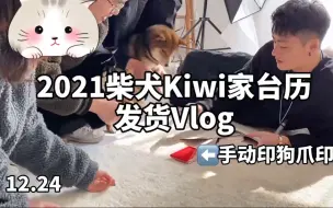 柴犬21台历拍摄vlog 03 哔哩哔哩 つロ干杯 Bilibili