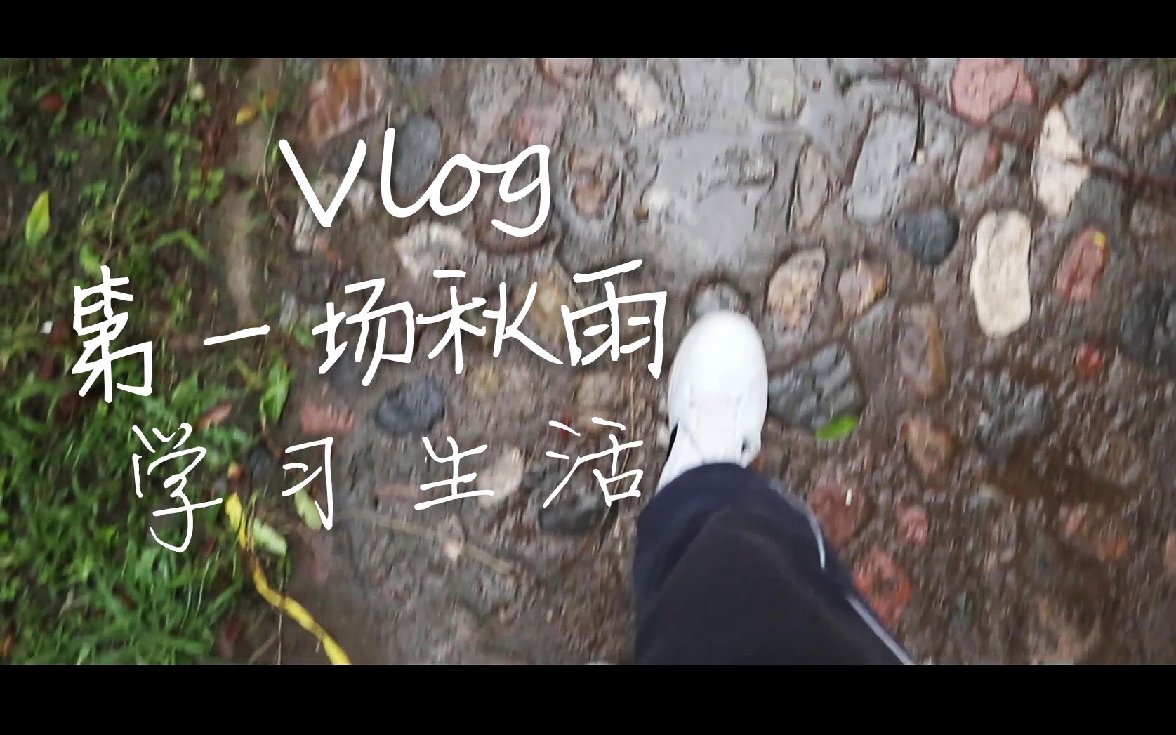 [图]#VLOG# 第一场秋雨中的记录