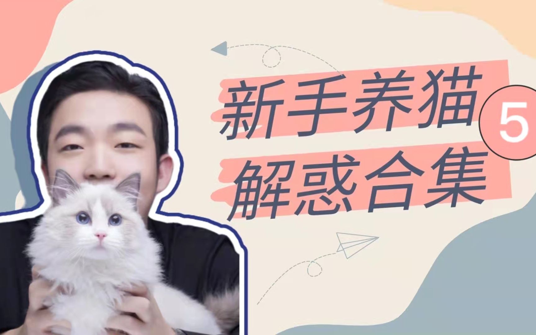 新手养猫解惑合集（5）