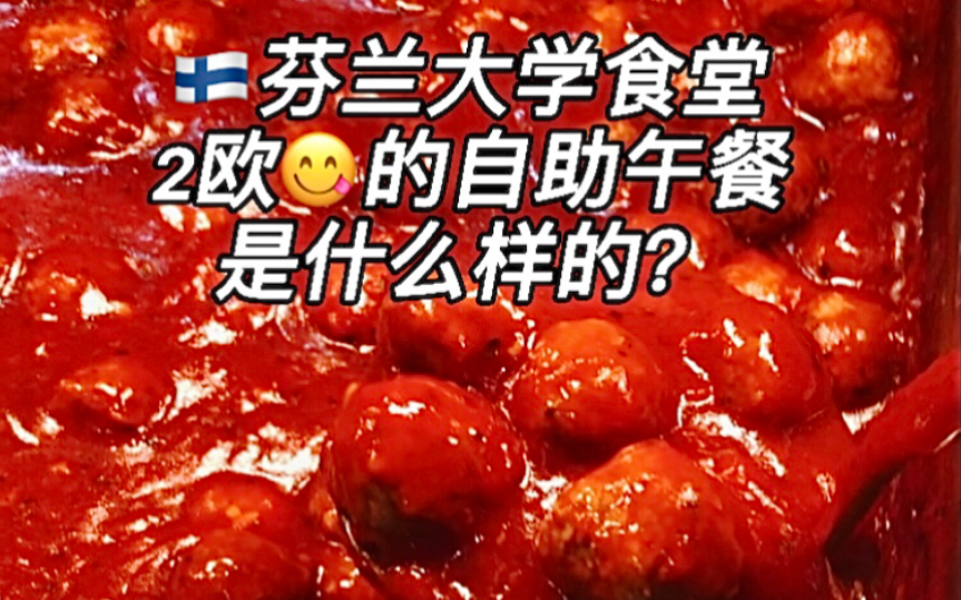 [图]连续五年霸榜 世界最幸福国家到底为什么?无限量肉丸 芬兰大学食堂 幸福2欧自助午餐