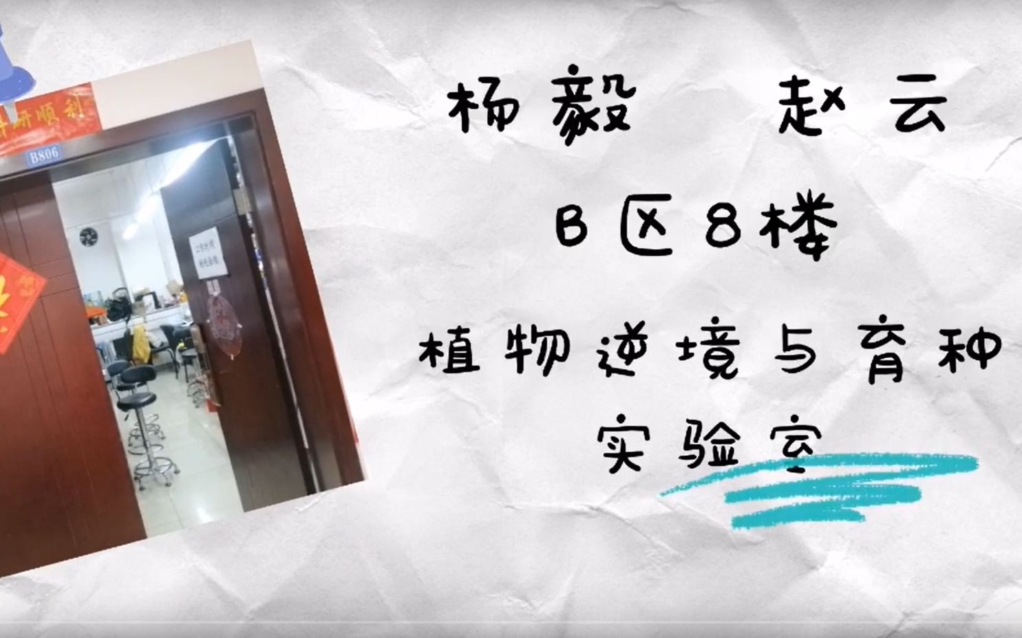 杨毅课题组—四川大学植物逆境与育种实验室介绍哔哩哔哩bilibili