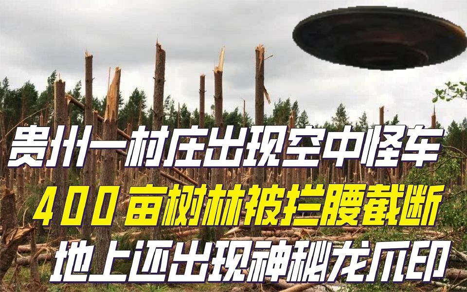 貴州村莊出現空中怪車,400畝樹林被攔腰截斷,還出現神秘龍爪印