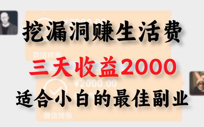 【网络安全】我靠网络安全接私活挖漏洞赚取生活费,3天收益2000,分享给大家,让大家看看网络安全赚钱的姿势哔哩哔哩bilibili