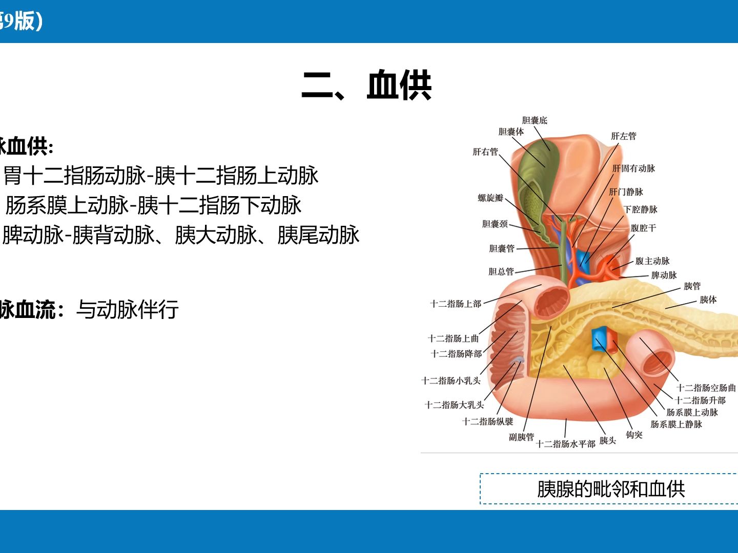 胰腺疾病ppt