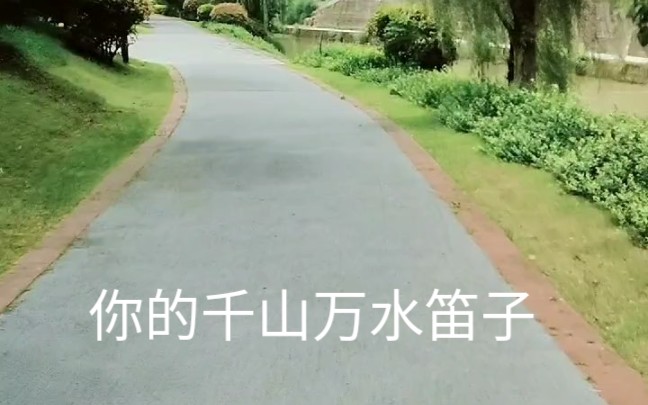 [图]海来阿木《你的千山万水》笛子版，好伤感