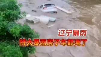 Download Video: 辽宁葫芦岛朝阳建昌特大暴雨，发洪水把家都淹了