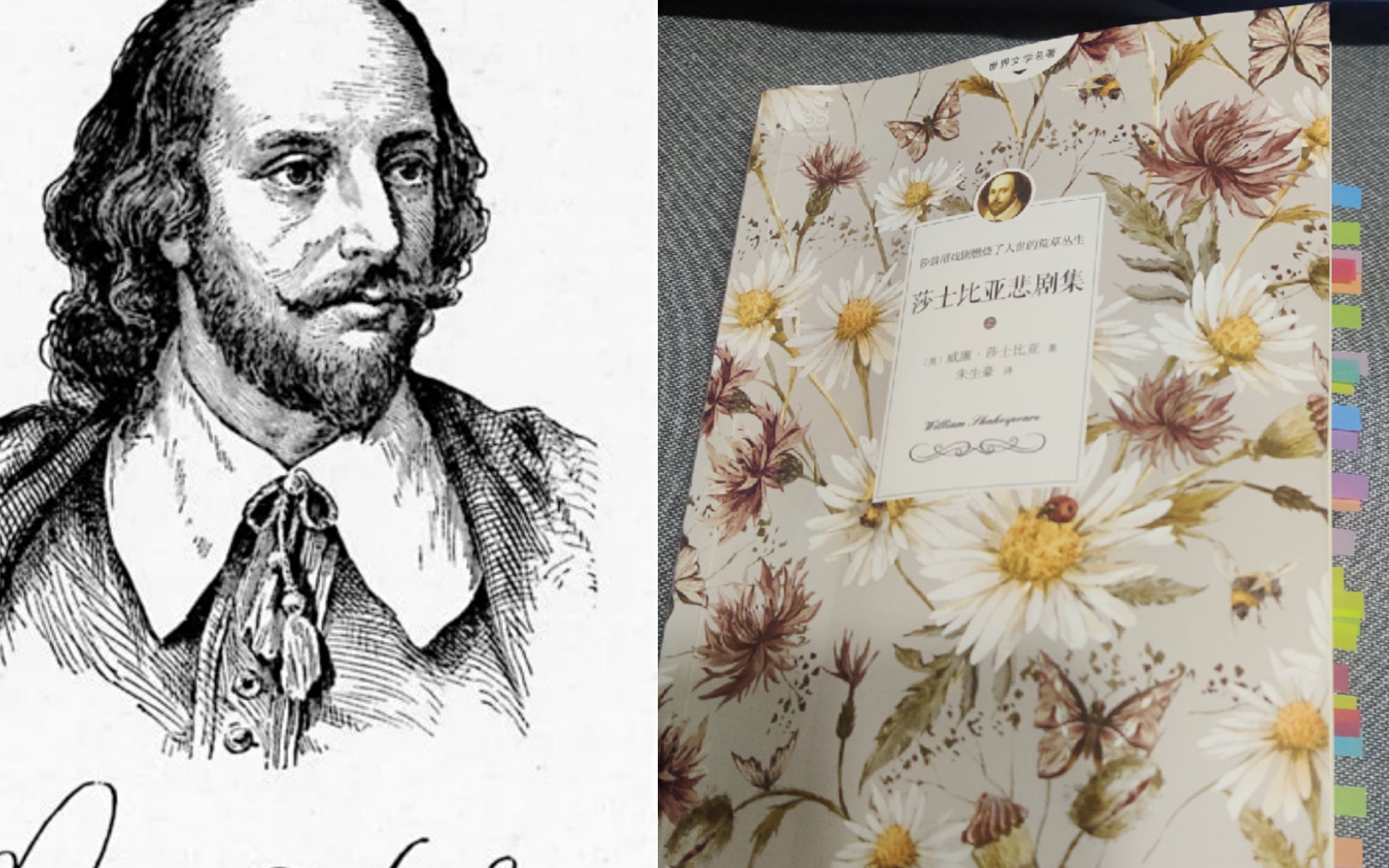 【书摘】莎士比亚《麦克白》