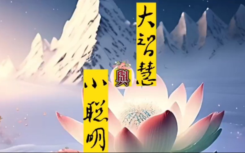 大智慧与小聪明