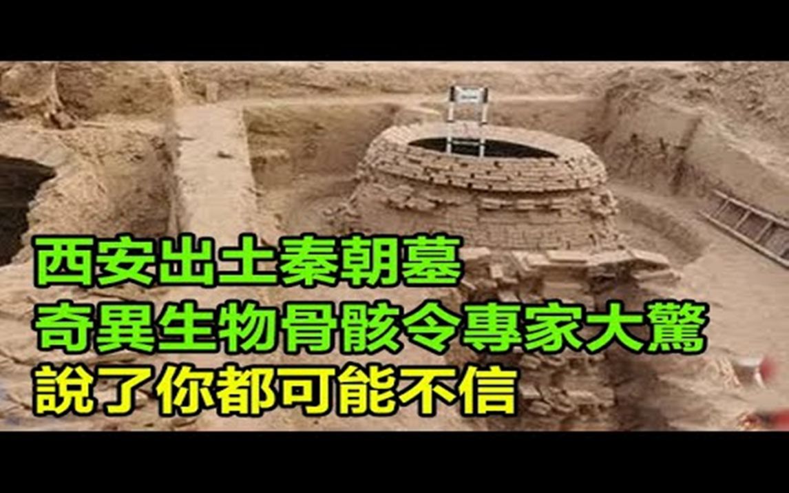 [图]西安出土秦朝墓，奇异生物骨骸令专家大惊，今里耶秦简破译竟现「异兽」线索，说了你都可能不信！