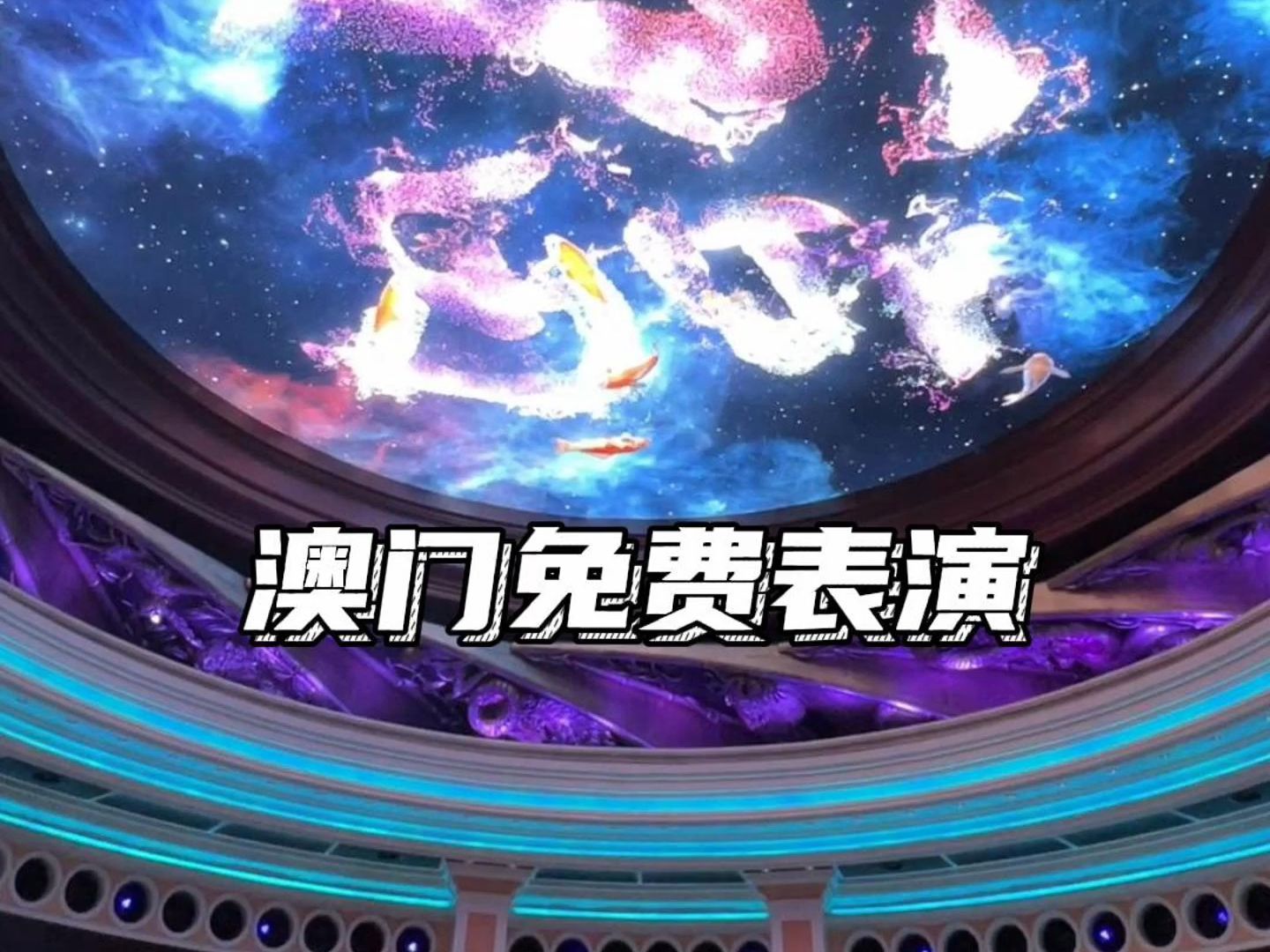 暑假来澳门,这些免费表演千万别错过啦~哔哩哔哩bilibili