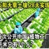 不用阳光，无需土壤，28天实现大丰收！首次公开中国“植物工厂”， 31万平米只有7个人？