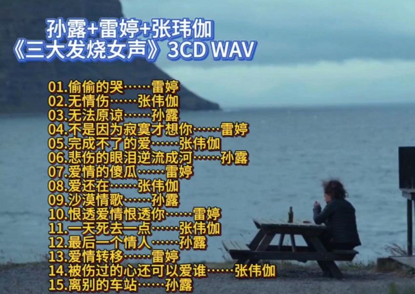 [图]孙露+雷婷+张玮伽《三大发烧女声》3CD WAV 02