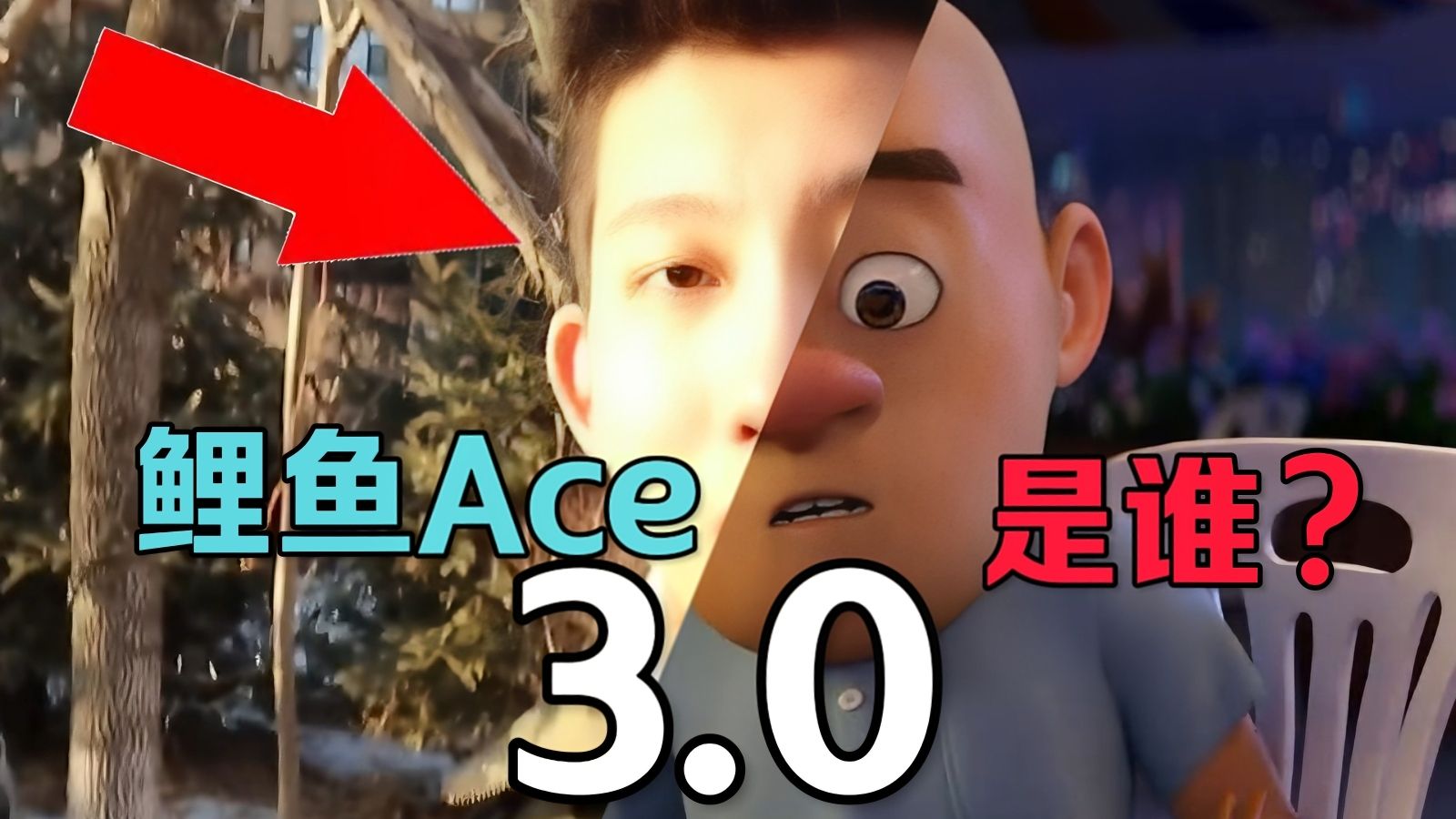 鯉魚ace是誰?