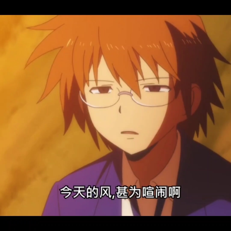 今天的风儿甚是喧嚣
