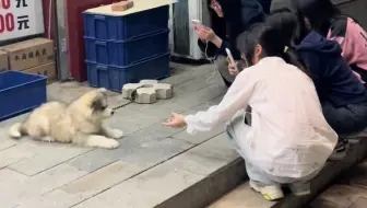 你可真招女孩子喜欢