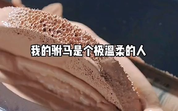 《醉情缘》1哔哩哔哩bilibili