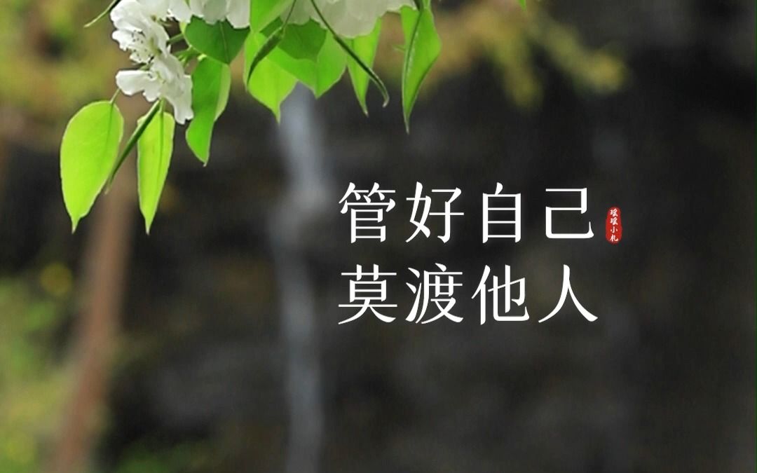 人生这场旅行,不是所有人都会去同一个地方,管好自己,莫渡他人,给他人