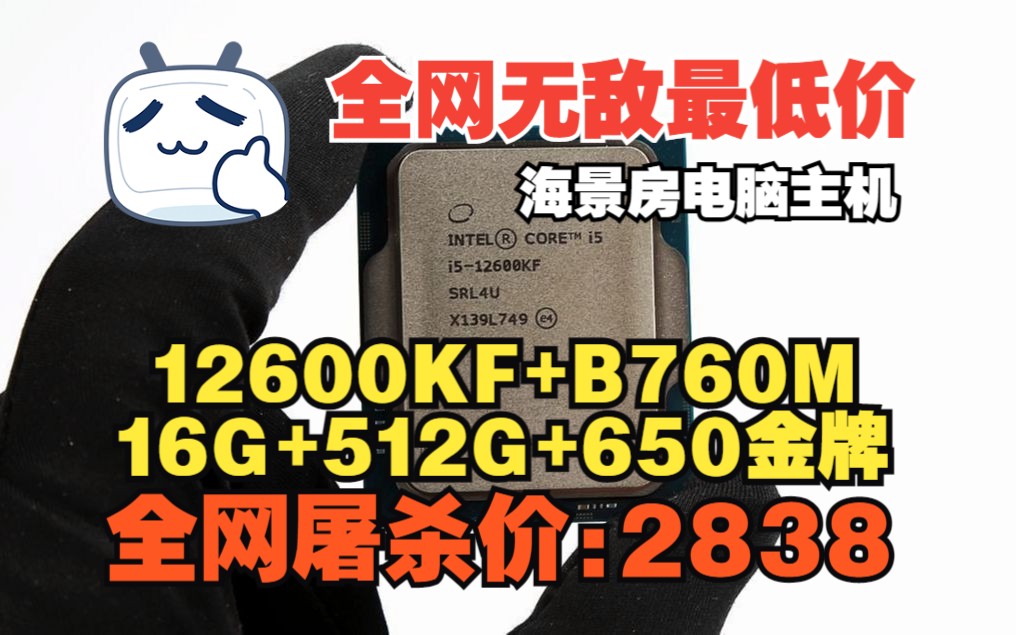 全网无敌最强最低价的12代i5 12600kf电脑游戏主机海景房配置搭配b760 哔哩哔哩