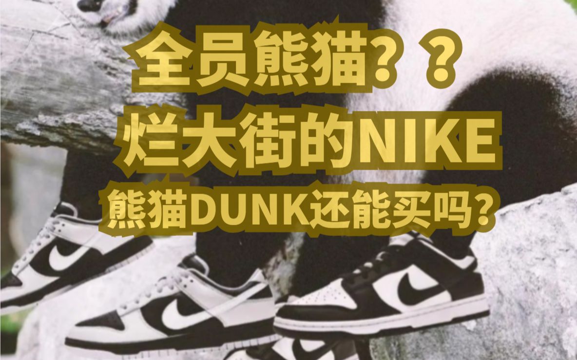 全员熊猫!烂大街的NIKE DUNK熊猫配色还能买吗?哔哩哔哩bilibili