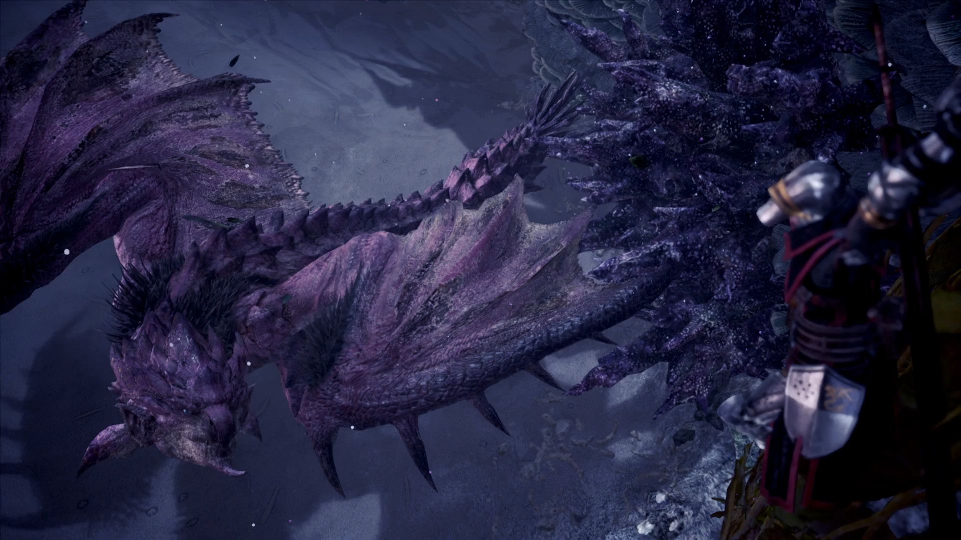 21神秘王国的女王 狩猎樱火龙