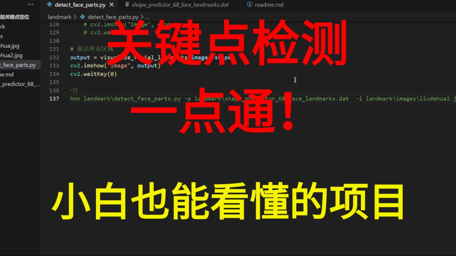 什么是关键点检测?原来这么简单,小白也能看懂的项目!包含项目源码和详细注释!哔哩哔哩bilibili