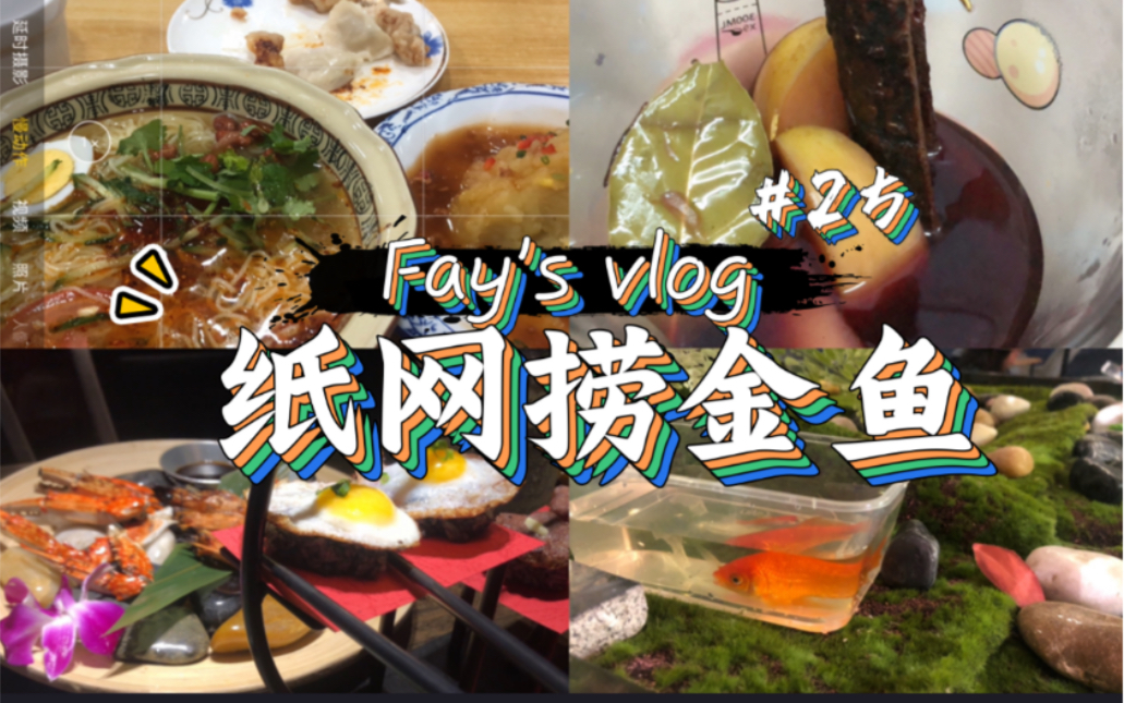 碎片vlog25乾飯日常紙網撈金魚體驗