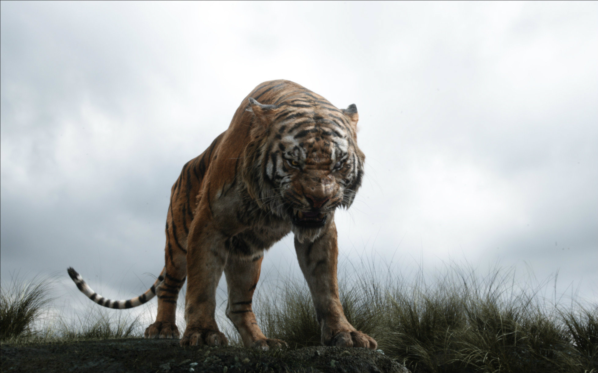 【tnabo】《奇幻森林》imax特辑