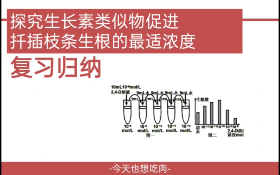 【今天学生物 02】复习总结:探究生长素类似物促进扦插枝条生根的最适浓度.哔哩哔哩bilibili