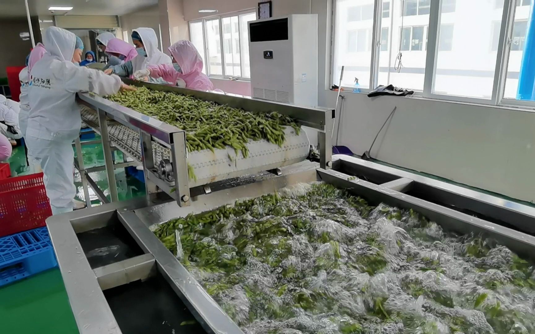 诸城市诚达机械是一家致力于生产全自动化大型蔬菜加工清洗流水线