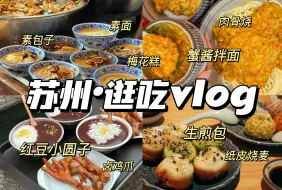 Download Video: 苏州美食指南｜五一旅游推荐 为什么没人告诉我苏州这么好吃这么美？