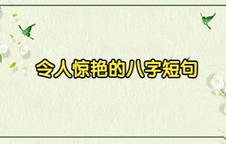 “和光同尘,与时舒卷 ”|令人惊艳的八字短句哔哩哔哩bilibili