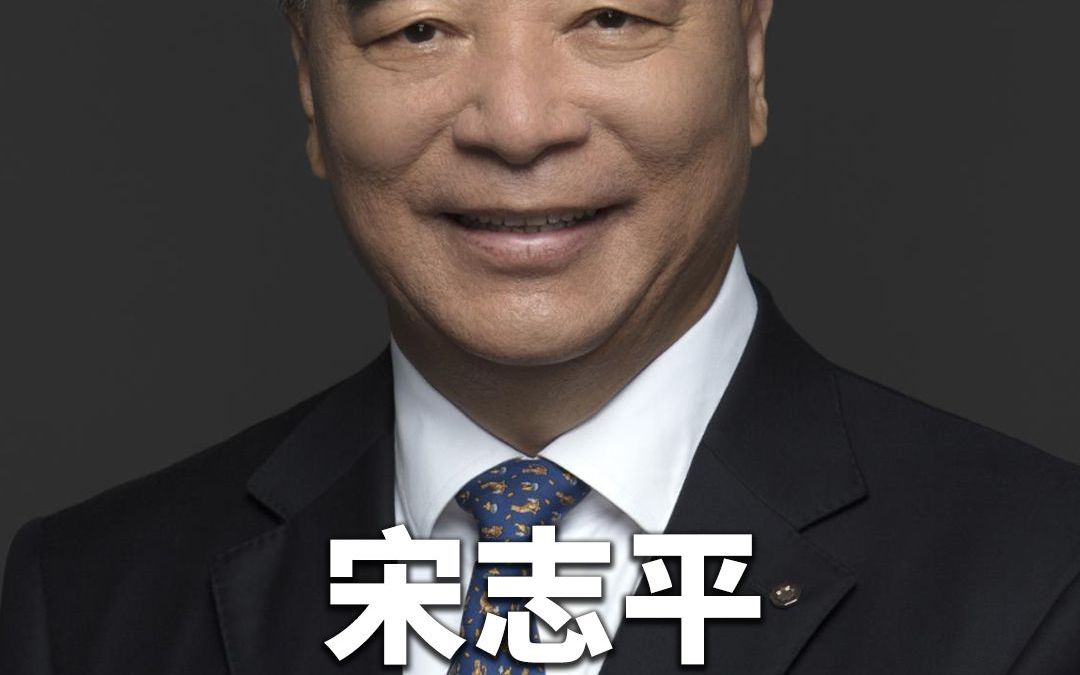 宋志平:成功背后都是煎熬,企业家要看到未来的事哔哩哔哩bilibili