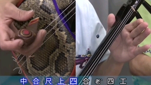琉球up小姐姐教你弹三线三弦 如何弹琉球民谣 童神 古谢流 民族乐器教学教程 哔哩哔哩 つロ干杯 Bilibili