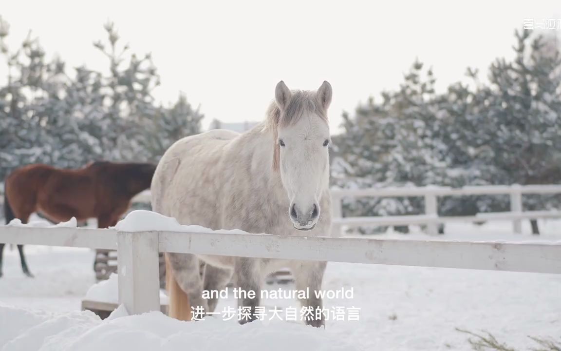 [图]000【Discovery Education视频】欢迎来到好奇少年的科学世界！