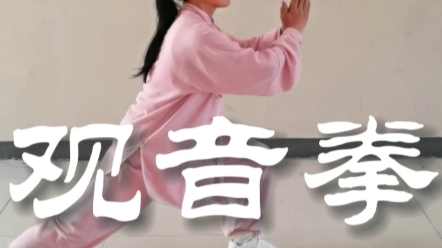 佛拳观音拳(附拳谱字幕)哔哩哔哩bilibili