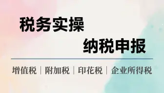 税务实操 纳税申报：增值税 附加税 印花税 企业所得税｜课程介绍1【梓晖】