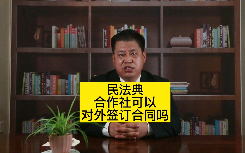 民法典:合作社可以对外签订合同吗?哔哩哔哩bilibili